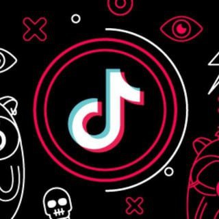 Бот для быстрого сказания фото и видео из Tik Tok